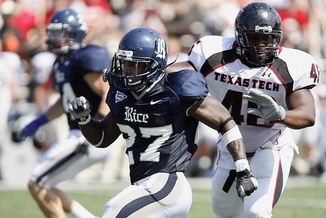 及对未来的 及对未来的