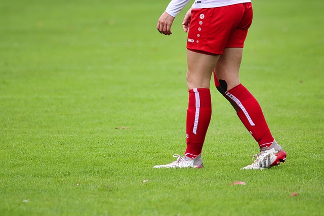 中占据有利 中占据有利