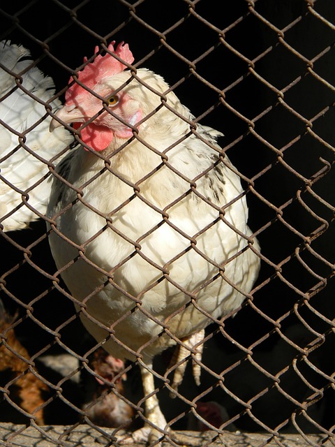 期待的话题 期待的话题