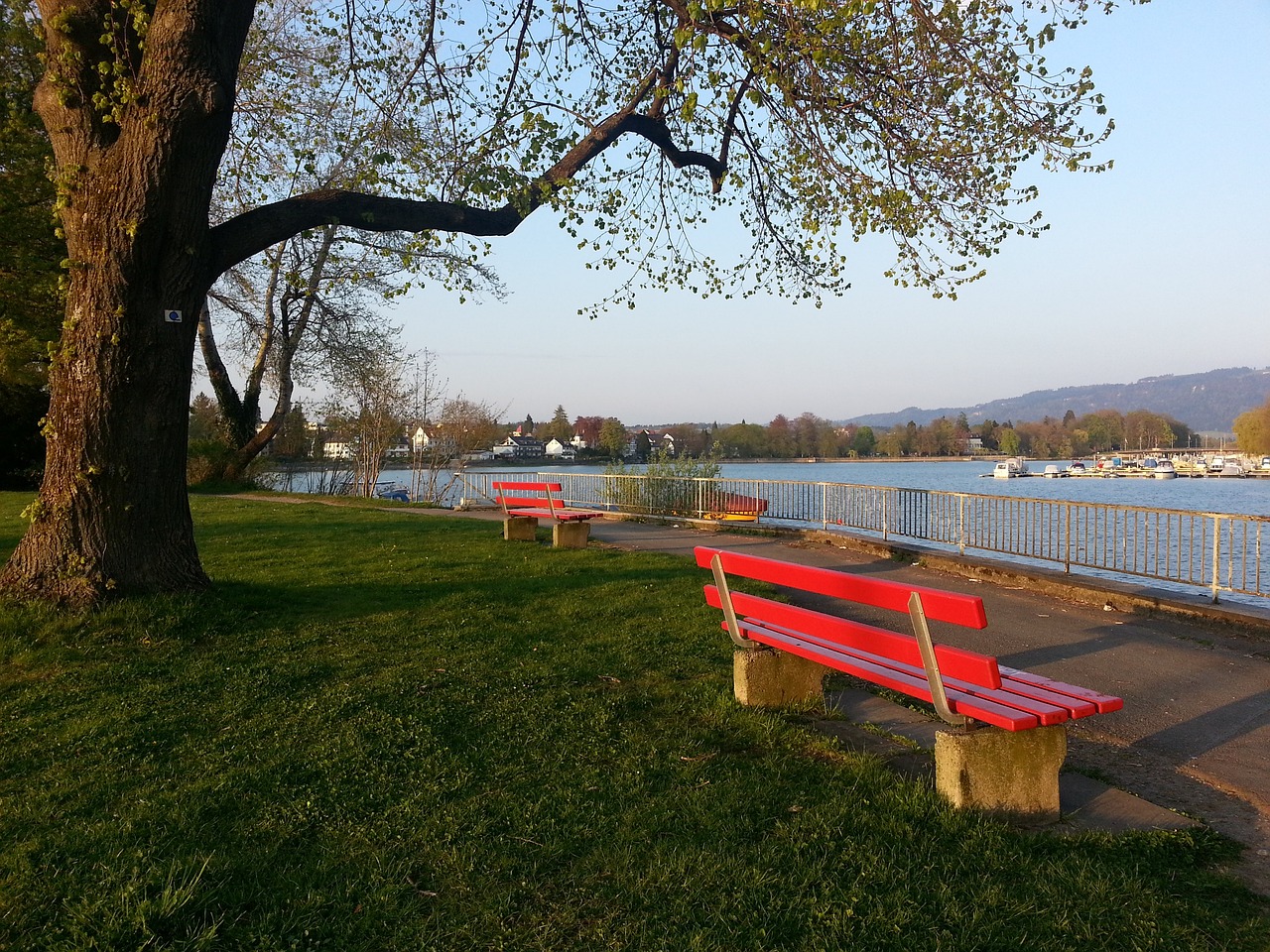 认真总结 认真总结