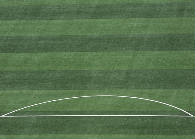 立了良好的 立了良好的