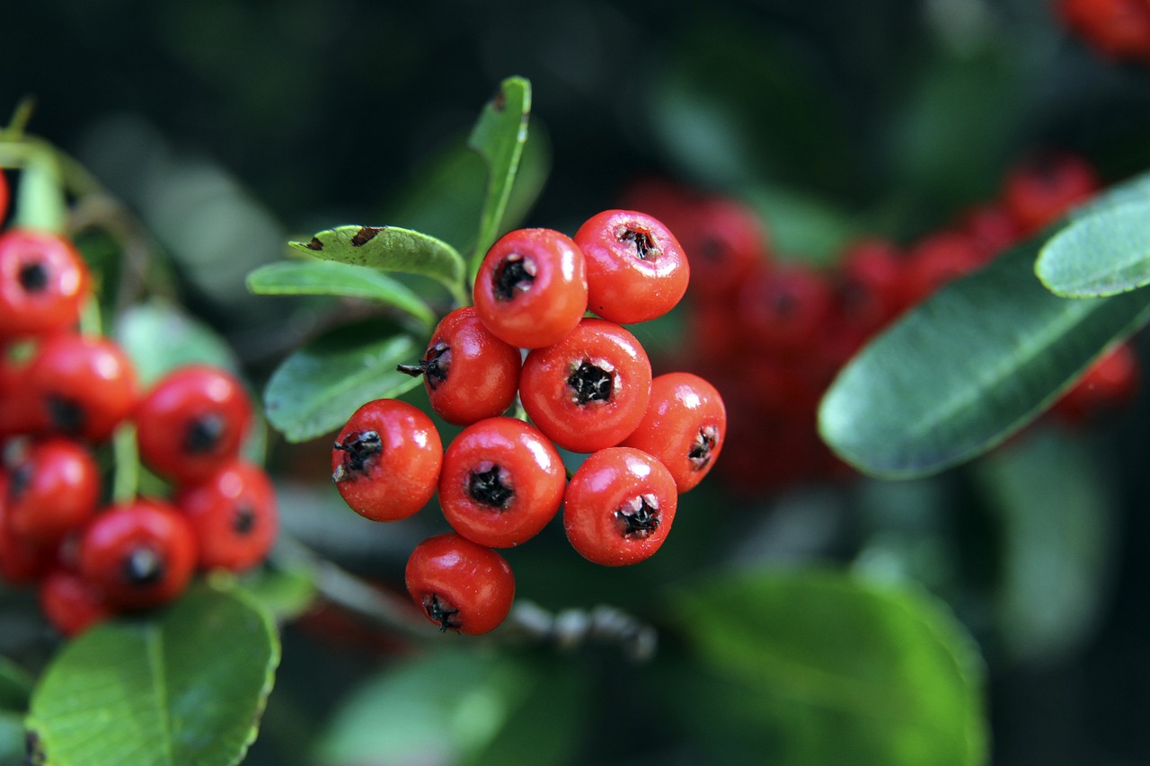 这样的表现 这样的表现