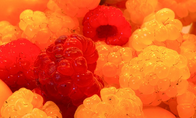 道行驶规则 道行驶规则