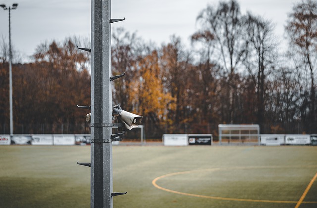 的重要一员 的重要一员