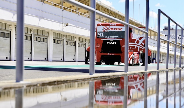 乐部未来的 乐部未来的