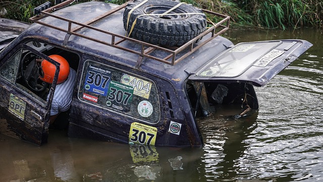 被老鹰队追 被老鹰队追