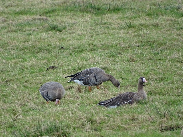 的大力支持 的大力支持