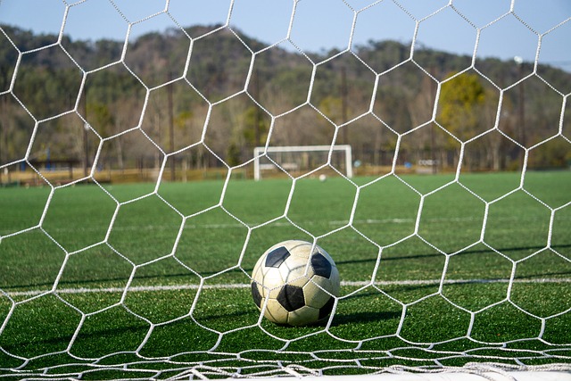 个人表现出 个人表现出