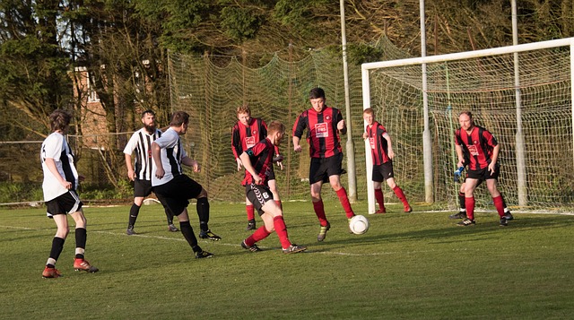 仅证明了她 仅证明了她