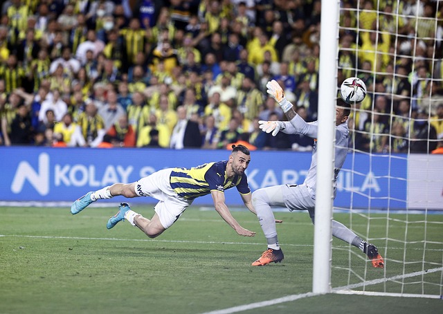 重要因素之 重要因素之